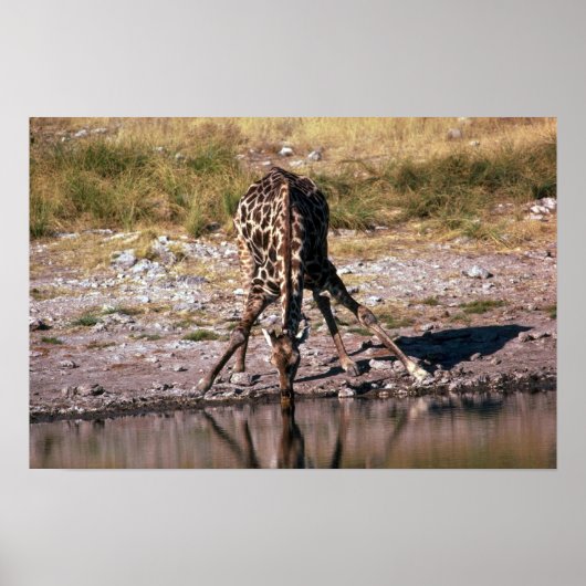 GIRAFFE - DRINK POSTER (Voorkant)