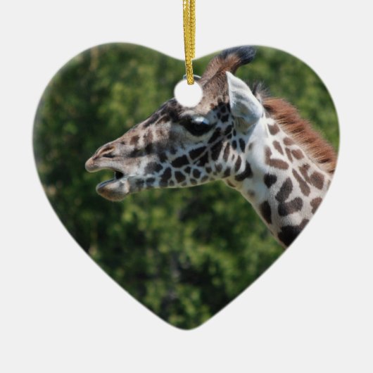 Giraffe Eating Ornament (Voorkant)