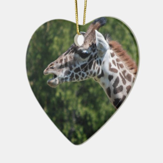 Giraffe Eating Ornament (Links)