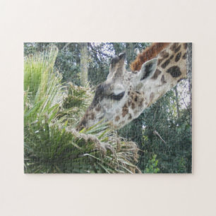Giraffe Eet Sluiten Legpuzzel