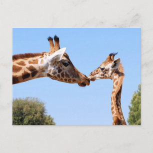 Giraffe en baby briefkaart