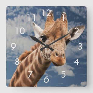 Giraffe- en blauw-hemelfotoklok vierkante klok