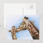 Giraffe en kalf Briefkaart (Voorkant / Achterkant)