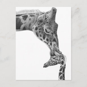 Giraffe en Kalf Briefkaart