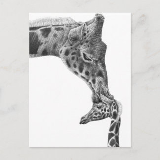 Giraffe en Kalf Briefkaart