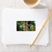 Giraffe Etiket (Insitu)