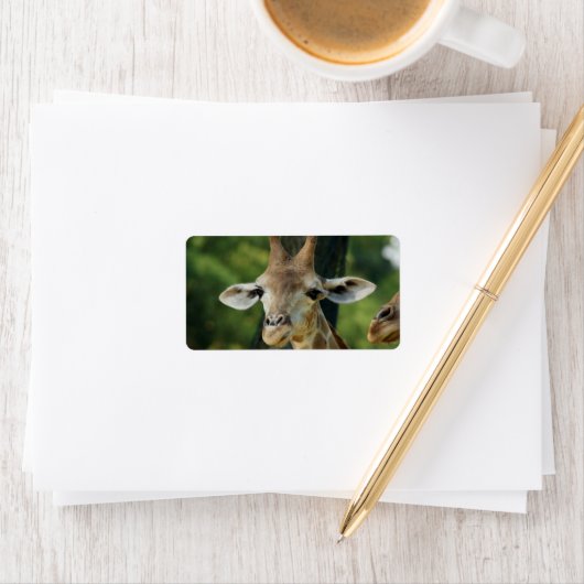 Giraffe Etiket (Insitu)