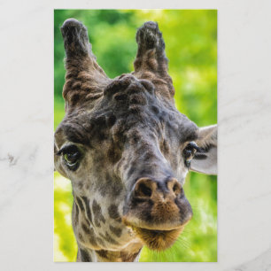 Giraffe Eyelashes Briefpapier