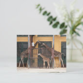 Giraffe Familie Briefkaart (Staand voorkant)