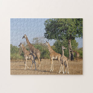 Giraffe familie puzzel