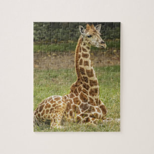 Giraffe Foto Legpuzzel