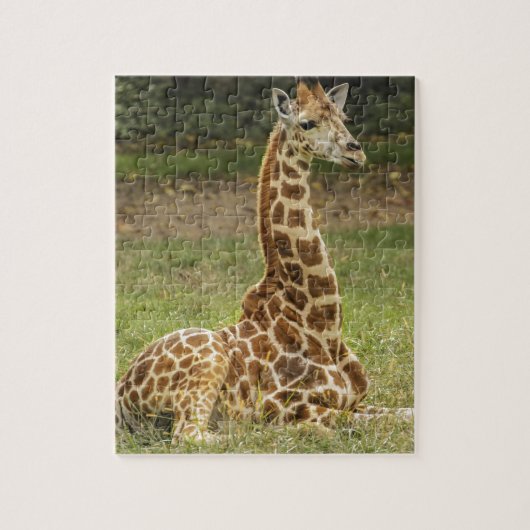 Giraffe Foto Legpuzzel (Verticaal)