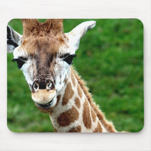 Giraffe Foto Muismat (Voorkant)