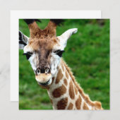 Giraffe Foto Uitnodiging (Voorkant / Achterkant)