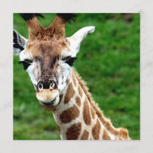 Giraffe Foto Uitnodiging