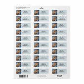 GIRAFFE FOTOGRAPHY Return Address LabelS (Full Sheet)