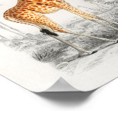 Giraffe , franse  illustratie 10 x 8 poster (Hoek)
