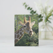 Giraffe Friendly Hallo Briefkaart (Staand voorkant)