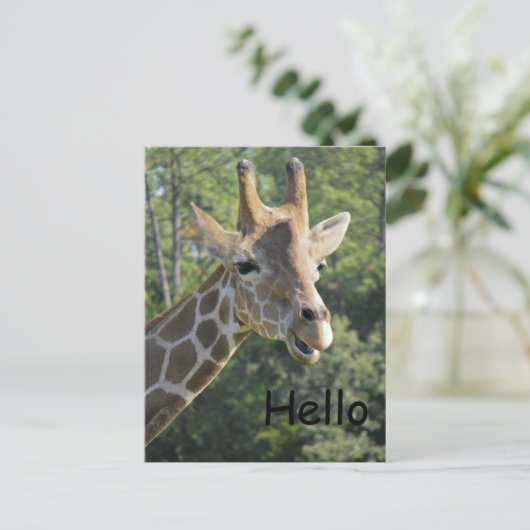 Giraffe Friendly Hallo Briefkaart (Staand voorkant)