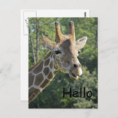 Giraffe Friendly Hallo Briefkaart (Voorkant / Achterkant)