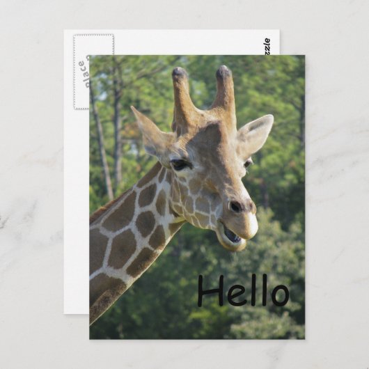 Giraffe Friendly Hallo Briefkaart (Voorkant / Achterkant)