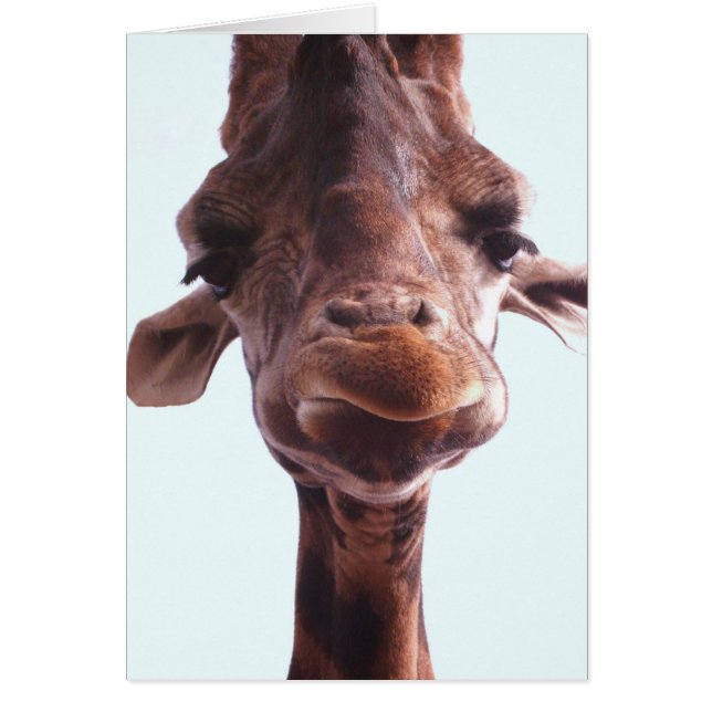 Giraffe Funny Face (Voorkant)