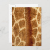 Giraffe Fur Briefkaart (Voorkant / Achterkant)