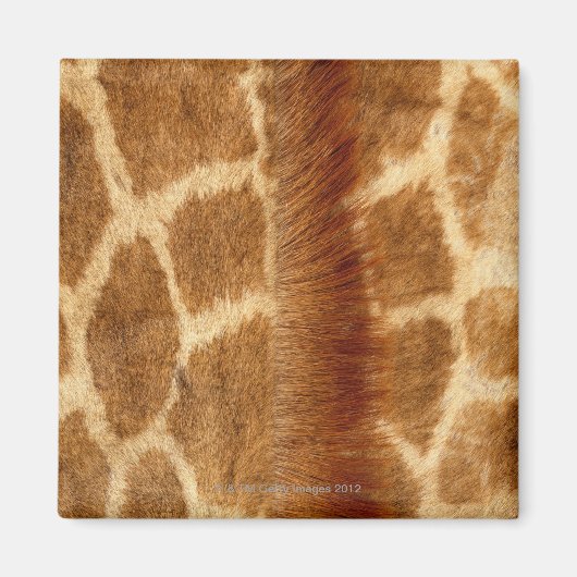Giraffe Fur Magneet (Voorkant)