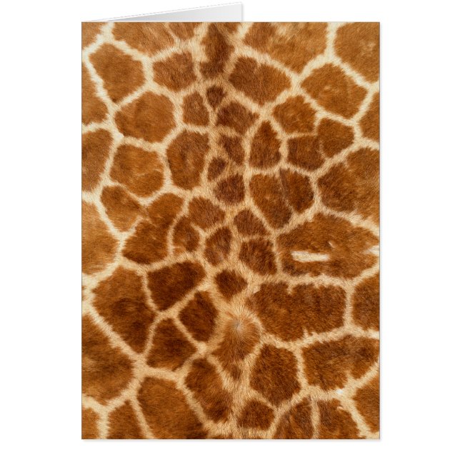 Giraffe Fur Wildlife Cards Series (Devant)