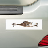 Giraffe genaamd Tip top Bumpersticker...! Bumpersticker (Op auto)