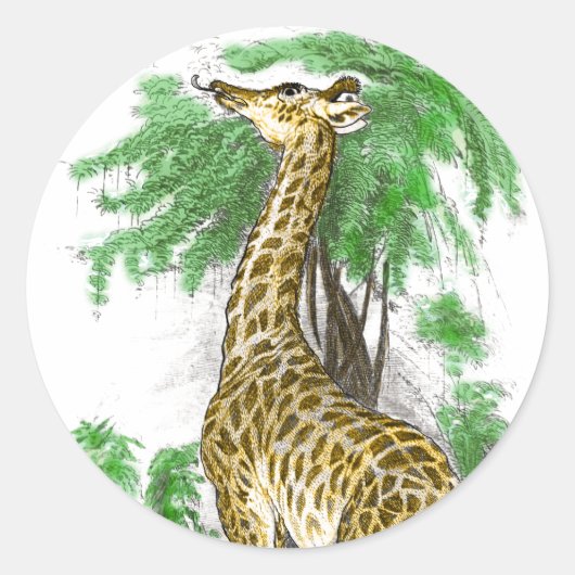 Giraffe Gifts Ronde Sticker (Voorkant)