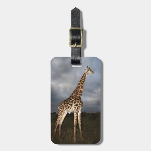 Giraffe (Giraffa camelopardalis) Bagagelabel (Voorkant verticaal)