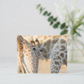 Giraffe (Giraffa camelopardalis) Briefkaart (Staand voorkant)