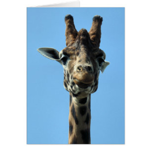 GIRAFFE GREETINGS KAART