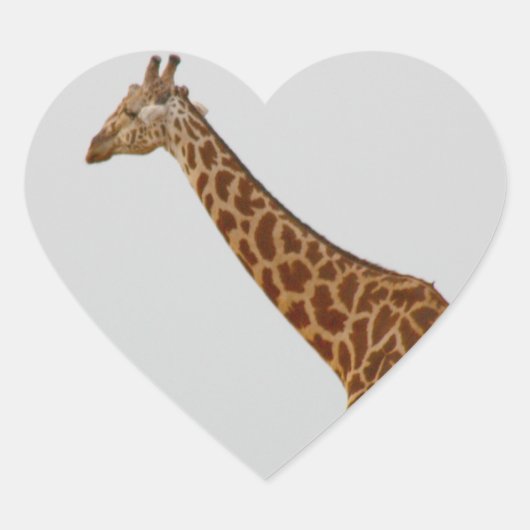 Giraffe Hart Sticker (Voorkant)