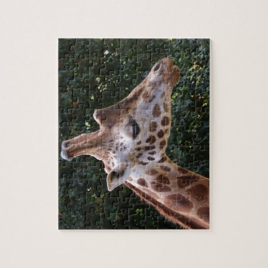 Giraffe Head Jigsaw Puzzle (Vertical)