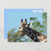 Giraffe, Hoi! Briefkaart (Voorkant / Achterkant)