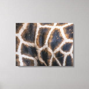 Giraffe huidpatroon omhoog dicht canvasdruk canvas afdruk