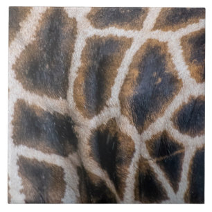 Giraffe huidpatroon omhoog dichtbij ceramische teg tegeltje