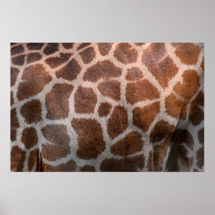 Giraffe huidtextuur poster