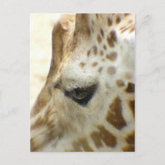GIRAFFE I BRIEFKAART
