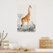 Giraffe Illustratie  Art Print (Keuken)