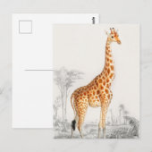 Giraffe Illustratie  Art Print Briefkaart (Voorkant / Achterkant)
