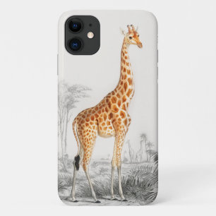 Giraffe Illustratie Vintage Kunstprint iPhone 11 Hoesje