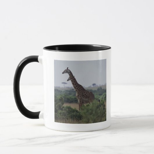 Giraffe in Afrika Mok (Links)