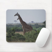 Giraffe in Afrika Muismat (Met muis)