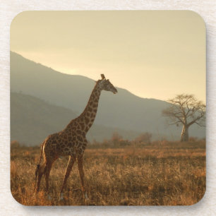 Giraffe in de Savannah Bier Onderzetter