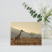 Giraffe in de Savannah Briefkaart (Staand voorkant)