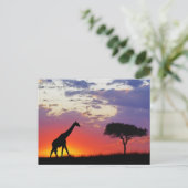 Giraffe in de zon, Giraffa Briefkaart (Staand voorkant)