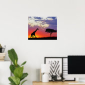 Giraffe in de zon, Giraffa Poster (Thuiskantoor)